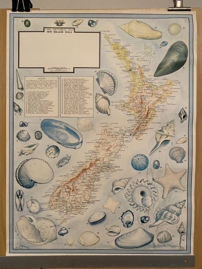 VINTAGE POSTER: UBD Pictorial Map of New Zealand Shells
