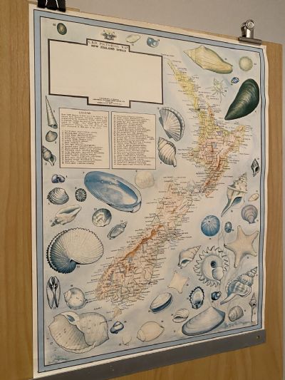 VINTAGE POSTER: UBD Pictorial Map of New Zealand Shells