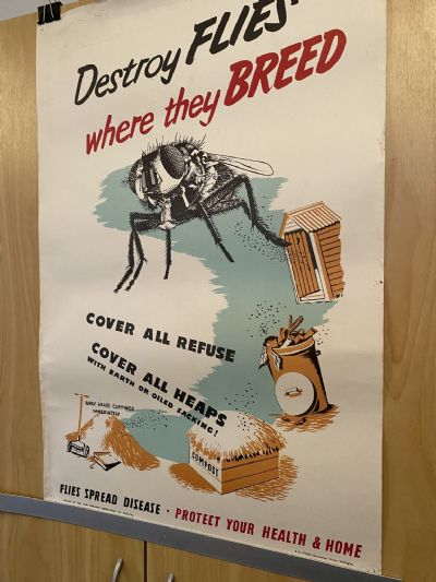 VINTAGE POSTER: New Zealand Department of Health / Flies Spread Disease
