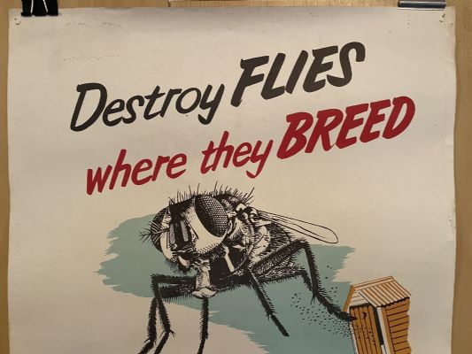 VINTAGE POSTER: New Zealand Department of Health / Flies Spread Disease