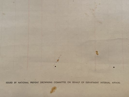 KAIKORAI PRIMARY SCHOOL: Swimming Progress Chart - Standard 3, 1961