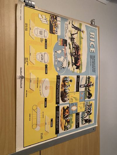 VINTAGE POSTER: Rice - How it is Grown and Sold