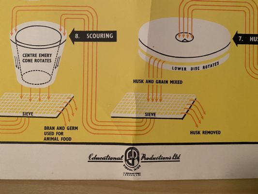VINTAGE POSTER: Rice - How it is Grown and Sold