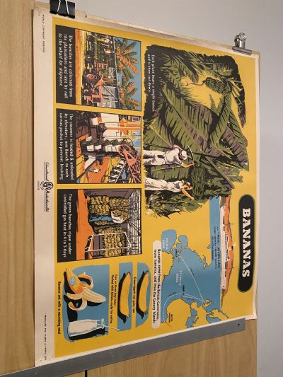 VINTAGE POSTER: Bananas - How they are Grown and Sold 1950s
