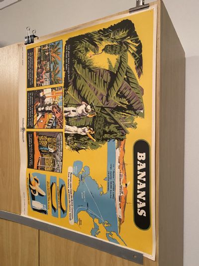 VINTAGE POSTER: Bananas - How they are Grown and Sold 1950s
