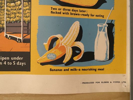 VINTAGE POSTER: Bananas - How they are Grown and Sold 1950s