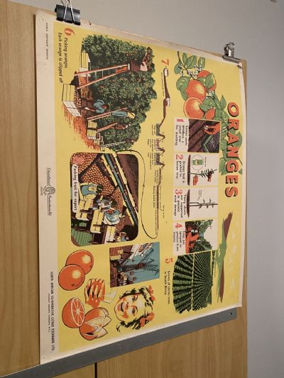 VINTAGE POSTER: Oranges