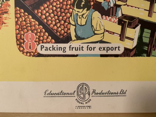 VINTAGE POSTER: Oranges