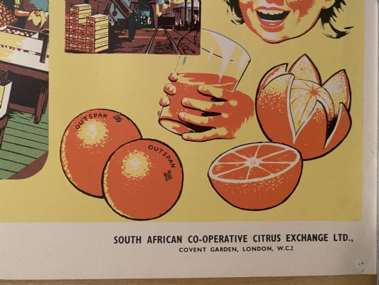 VINTAGE POSTER: Oranges
