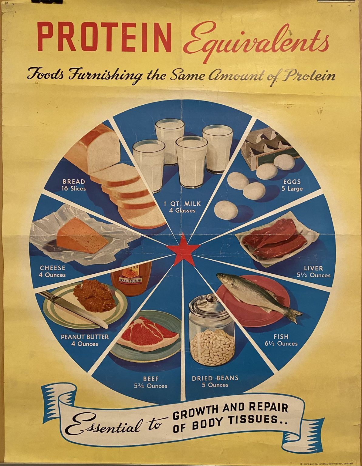 VINTAGE POSTER: Protein Equivalents