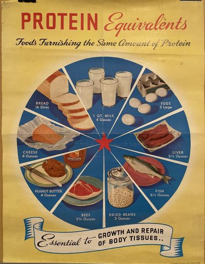 VINTAGE POSTER: Protein Equivalents 