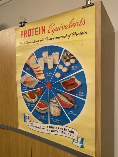 VINTAGE POSTER: Protein Equivalents
