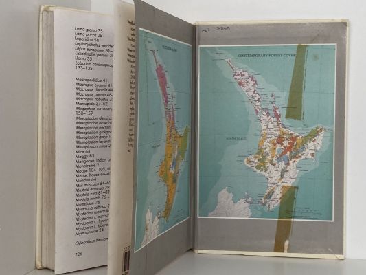 MAMMALS OF NEW ZEALAND: A complete guide to all species of land and marine mammals