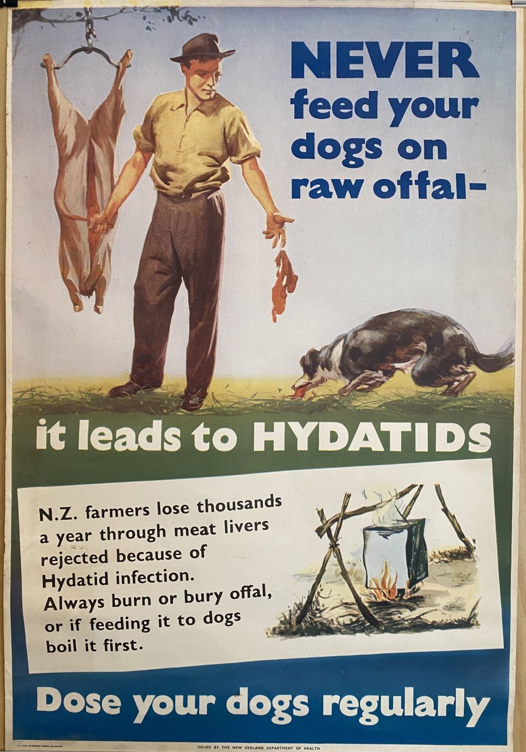VINTAGE POSTER: New Zealand Department of Health / Hydatids in Farm Dogs 1950s