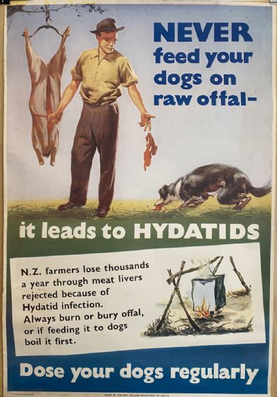 VINTAGE POSTER: New Zealand Department of Health / Hydatids in Farm Dogs 1950s 