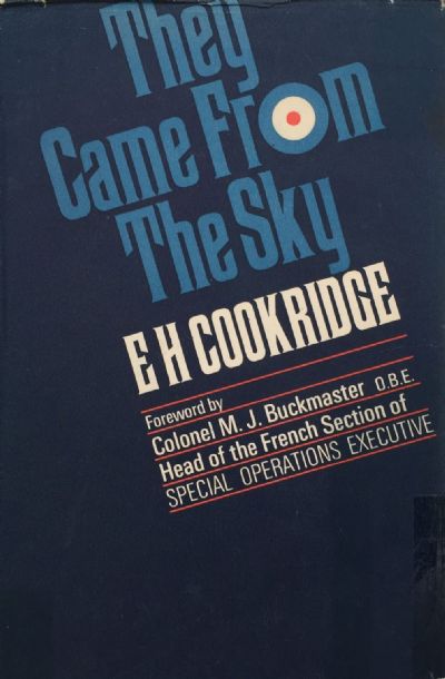 THEY CAME FROM THE SKY 