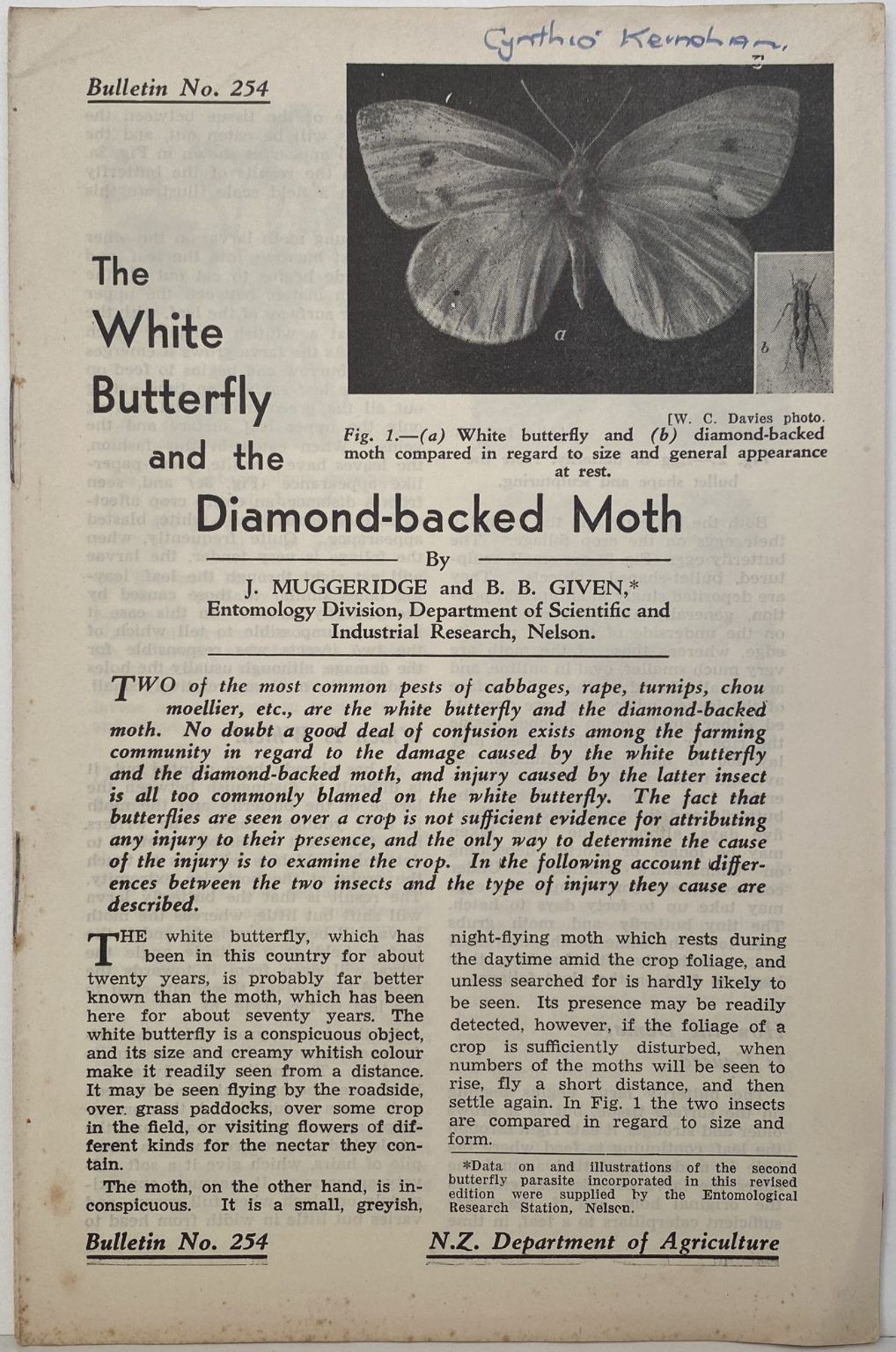 The White Butterfly and the Diamond-backed Moth: Bulletin No. 254