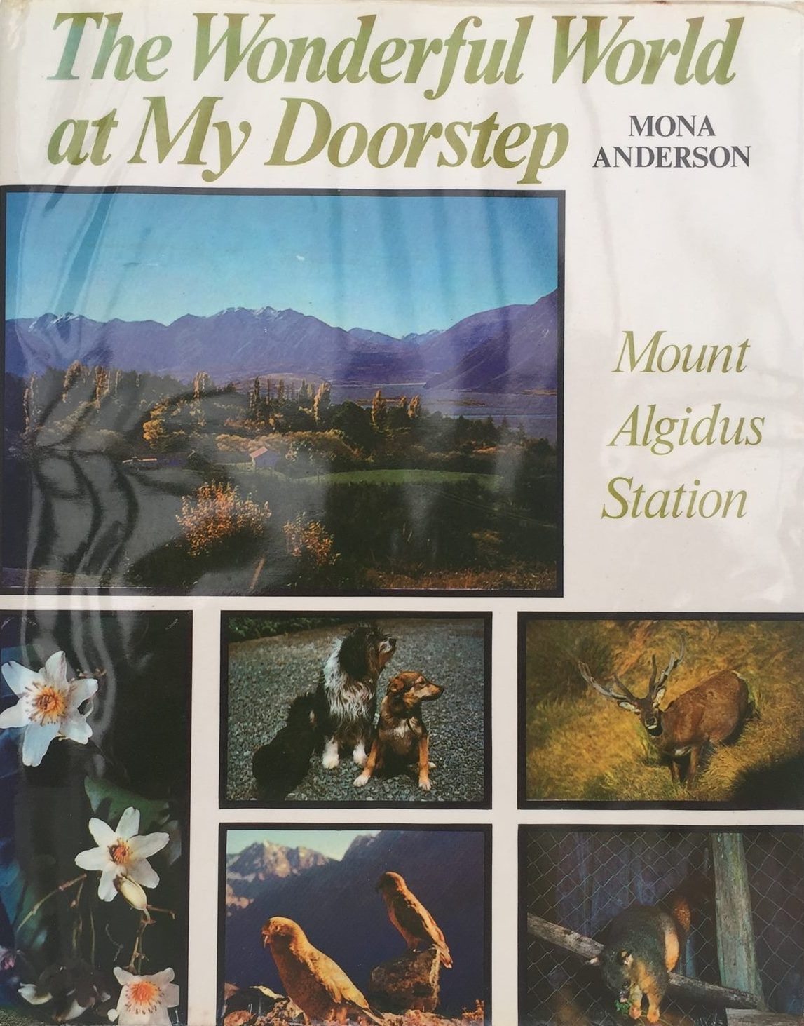 THE WONDERFUL WORLD AT MY DOORSTEP: Mount Algidus Station