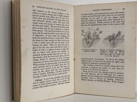 VEGETABLE GROWING In New Zealand: Sixth Edition