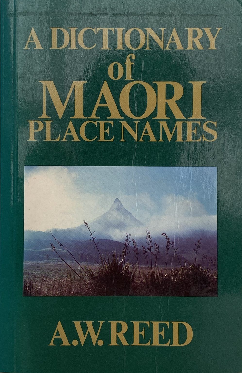 A DICTIONARY OF MAORI PLACE NAMES