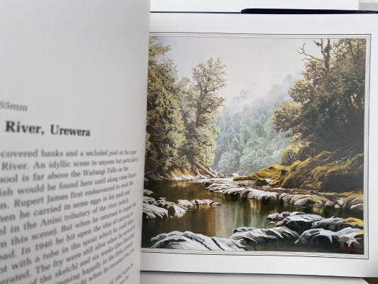 Jonathan White's New Zealand