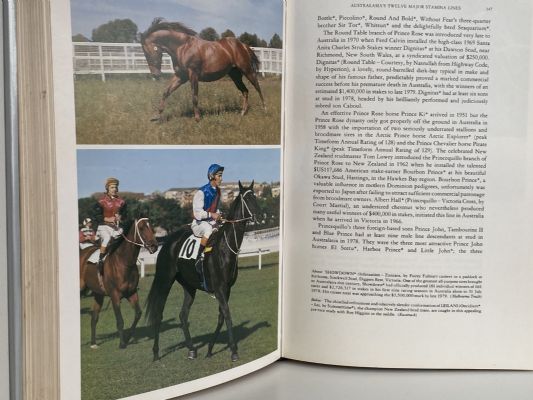 THE AUSTRALIAN and NEW ZEALAND THOROUGHBRED