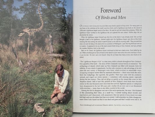 WILD SOUTH: Saving New Zealand's Endangered Birds