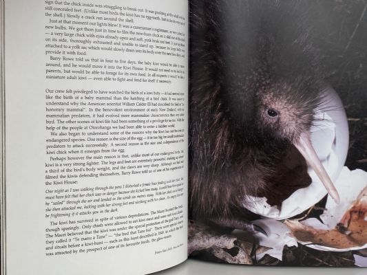 WILD SOUTH: Saving New Zealand's Endangered Birds