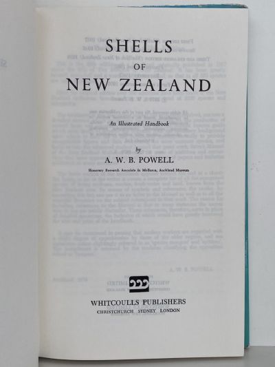 SHELLS OF NEW ZEALAND: An Illustrated Handbook