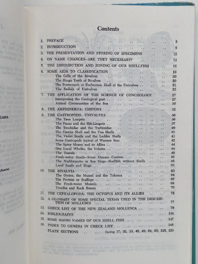 SHELLS OF NEW ZEALAND: An Illustrated Handbook