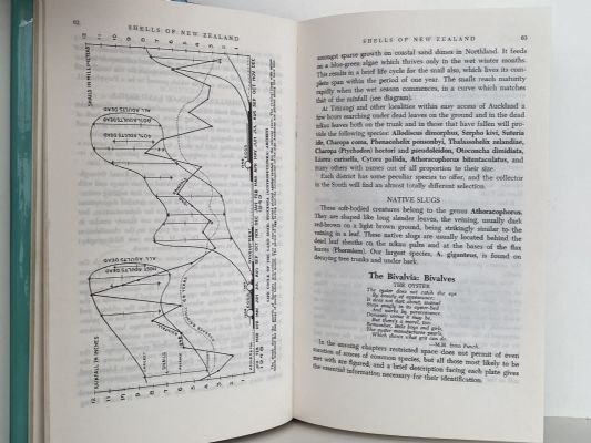 SHELLS OF NEW ZEALAND: An Illustrated Handbook