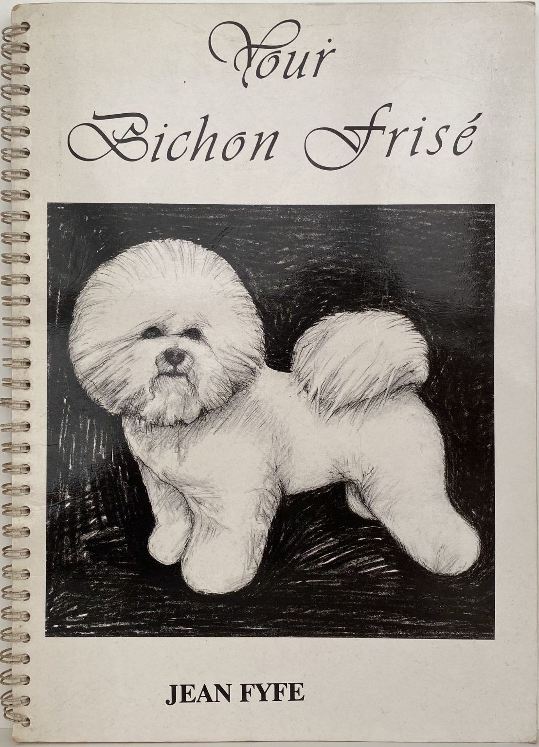 YOUR BICHON FRISE