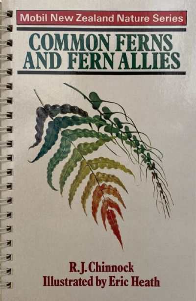 COMMON FERNS AND FERN ALLIES 