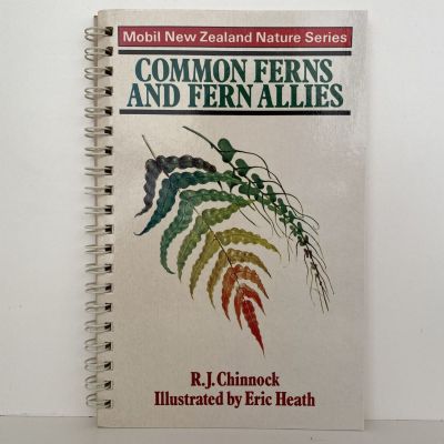 COMMON FERNS AND FERN ALLIES