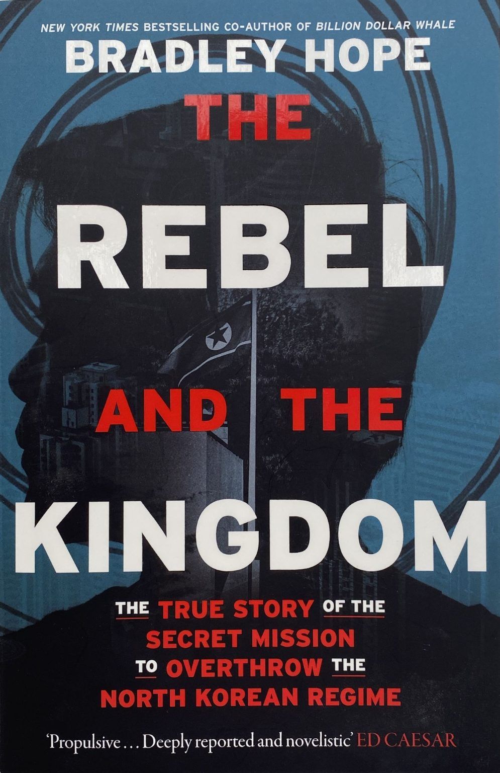 THE REBEL AND THE KINGDOM