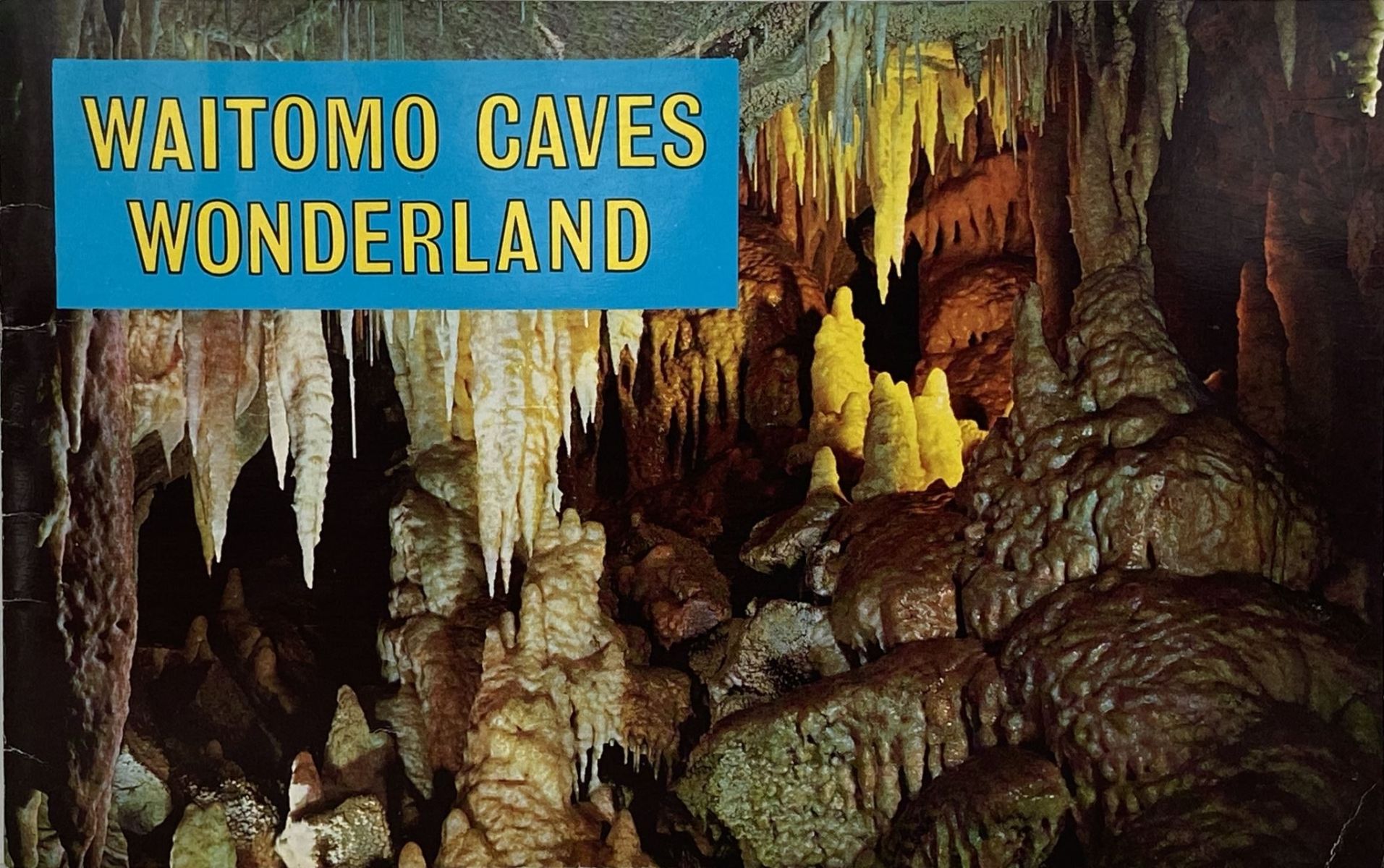 WAITOMO CAVES WONDERLAND