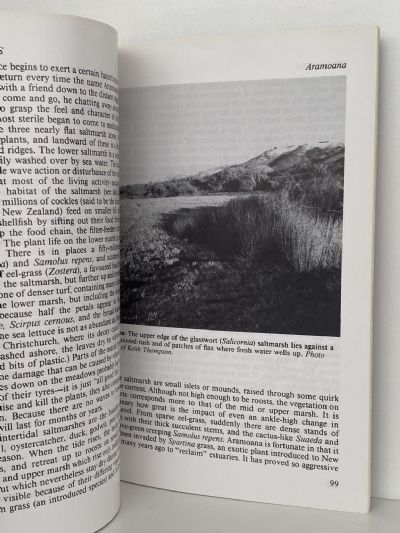 WETLANDS: Discovering New Zealand's Shy Places