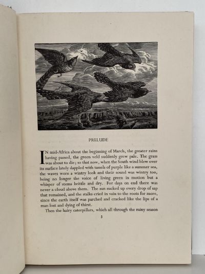 PORTRAIT OF A VILLAGE