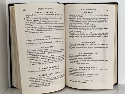 POINTERS TO THE COMMON REMEDIES
