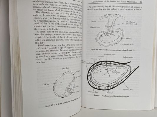 THE HORSE: Breeding and Youngstock