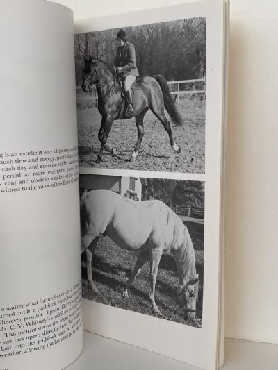 STALLIONS: Their management and handling