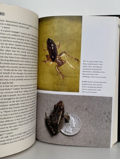 PLAGUE OF FROGS: The Horrifying True Story