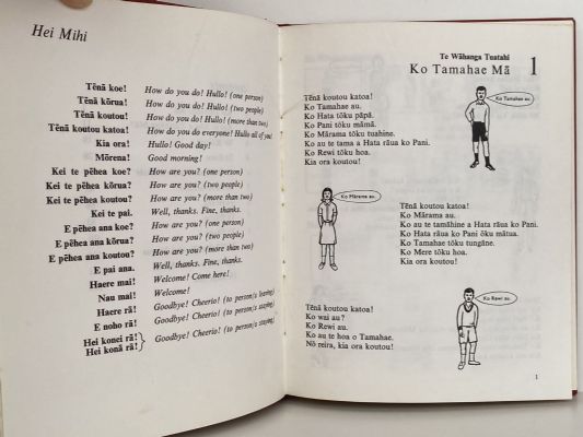 TE RANGATAHI: A Maori Language Course - Books 1,2,3