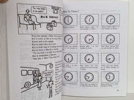 TE RANGATAHI: A Maori Language Course by Hoani Waititi: 3 Books