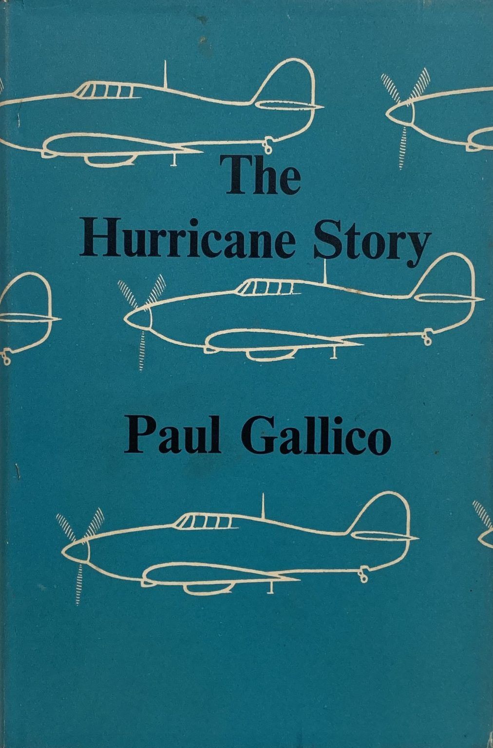 THE HURRICANE STORY