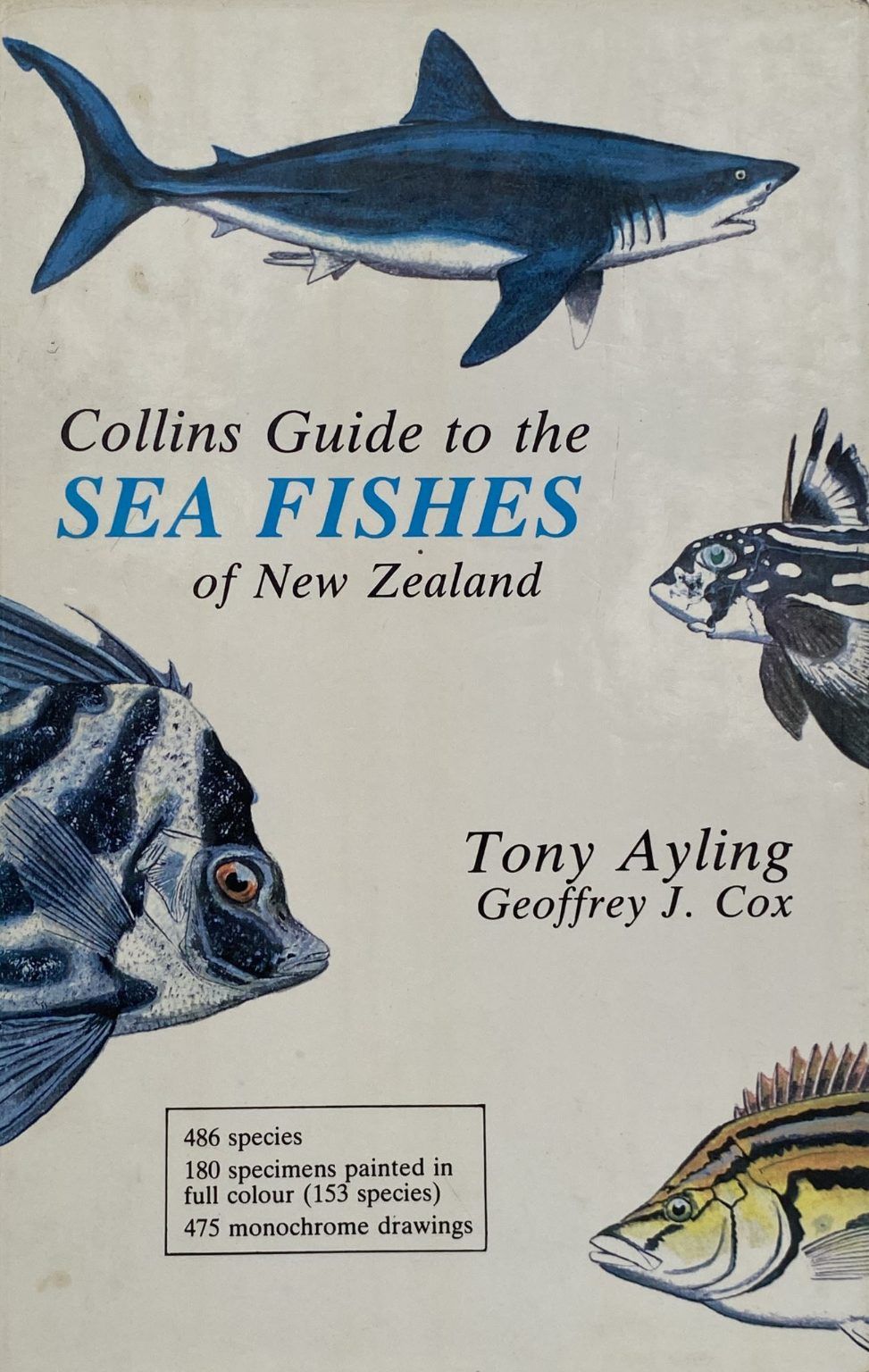 COLLINS GUIDE TO THE SEA FISHES of New Zealand