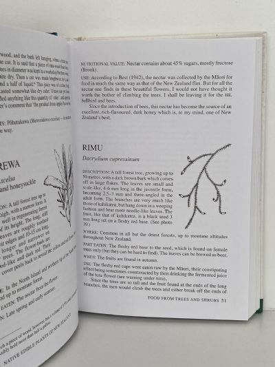 A FIELD GUIDE TO THE NATIVE EDIBLE PLANTS of New Zealand