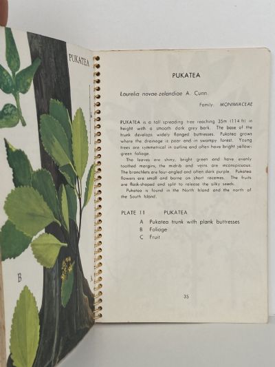THE FIAT BOOK OF NEW ZEALAND TREES