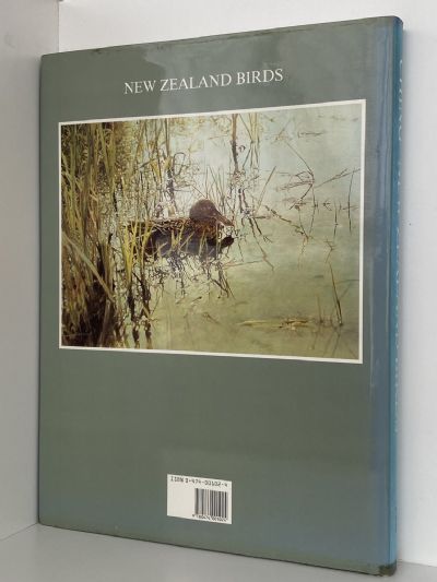 NEW ZEALAND BIRDS: An Artists Field Studies