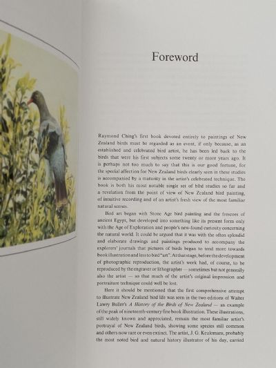 NEW ZEALAND BIRDS: An Artists Field Studies